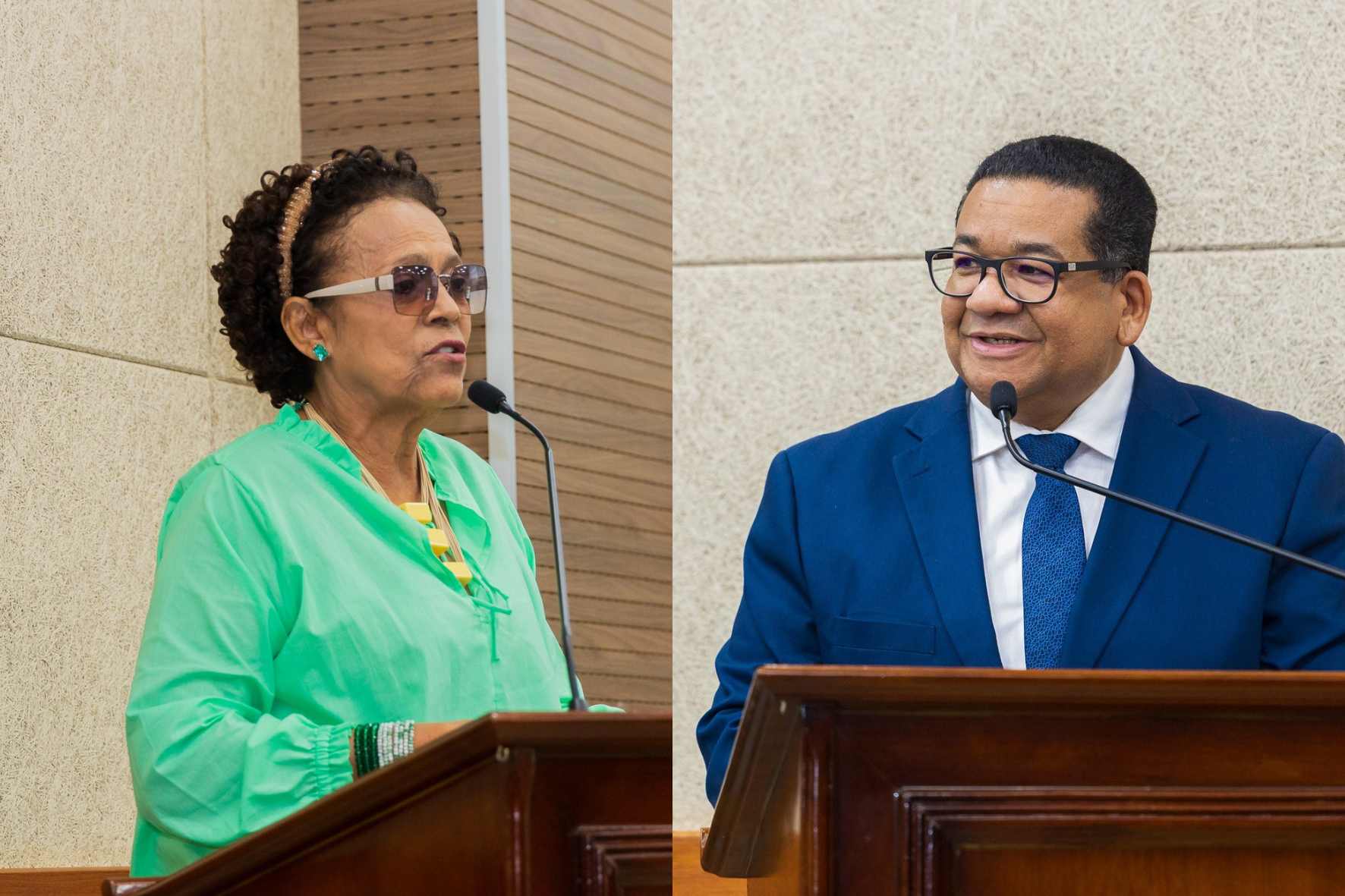 Vanda e Ronisteu foram os vereadores mais produtivos na Câmara