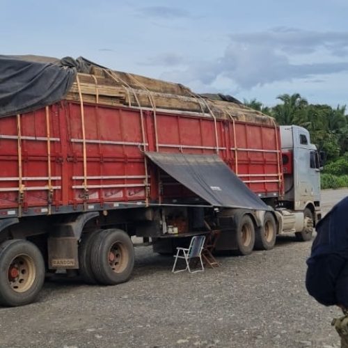 PRF apreende 55m³ de madeira em carga ilegal
