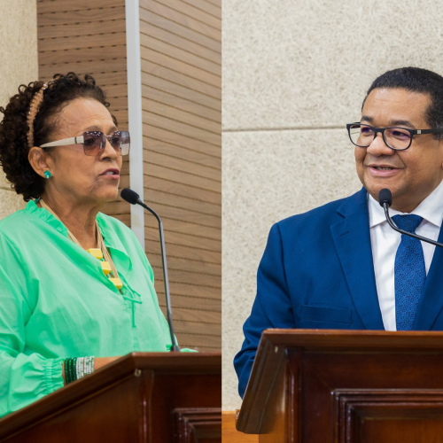 Vanda e Ronisteu foram os vereadores mais produtivos na Câmara