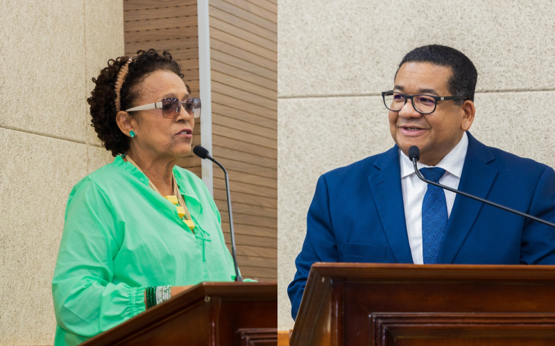 Vanda e Ronisteu foram os vereadores mais produtivos na Câmara