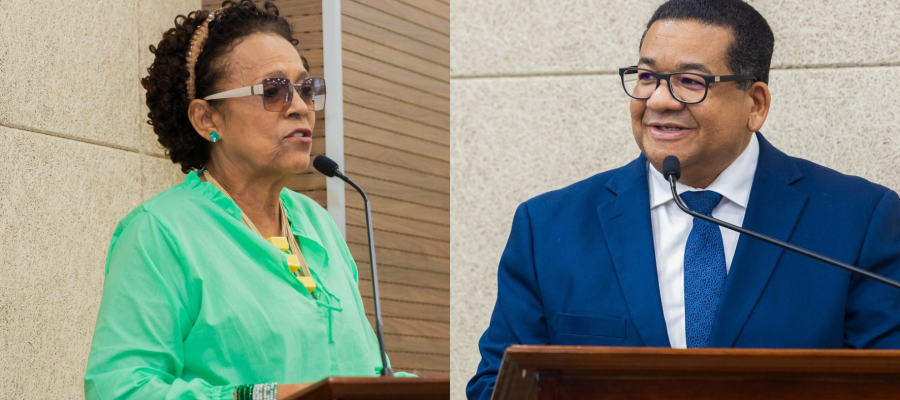 Vanda e Ronisteu foram os vereadores mais produtivos na Câmara