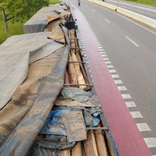 PRF flagra transporte ilegal de madeira em Marabá 